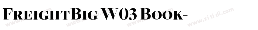 FreightBig W03 Book字体转换